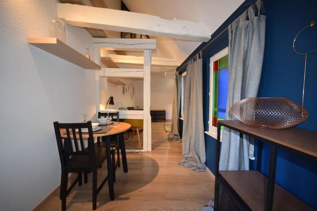 Le Studio Du Quai Des Pecheurs - Charmant Duplex Sur Les Quais Strasburg Zewnętrze zdjęcie