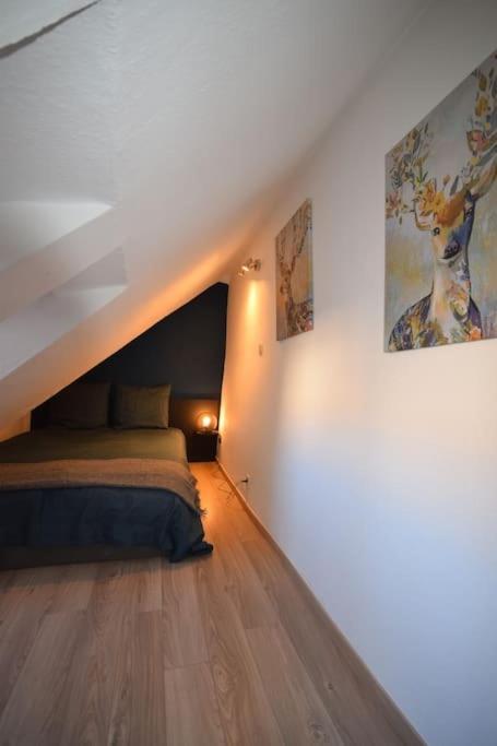 Le Studio Du Quai Des Pecheurs - Charmant Duplex Sur Les Quais Strasburg Zewnętrze zdjęcie