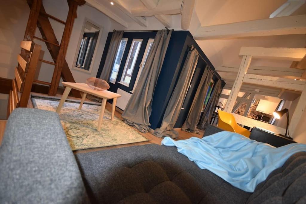 Le Studio Du Quai Des Pecheurs - Charmant Duplex Sur Les Quais Strasburg Zewnętrze zdjęcie